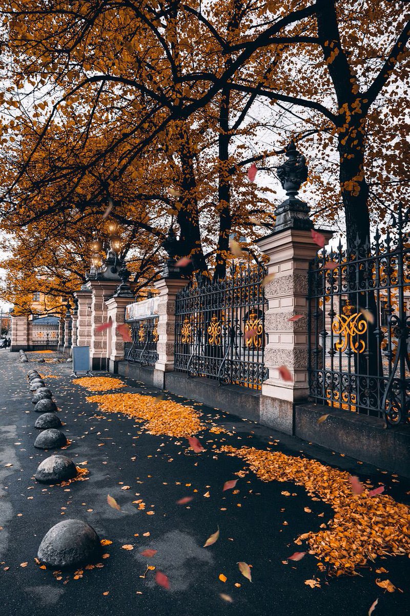 here’s a gate to somewhere LMAO i don’t know where to but it’s a very nice gate with some autumn/fall leaves.