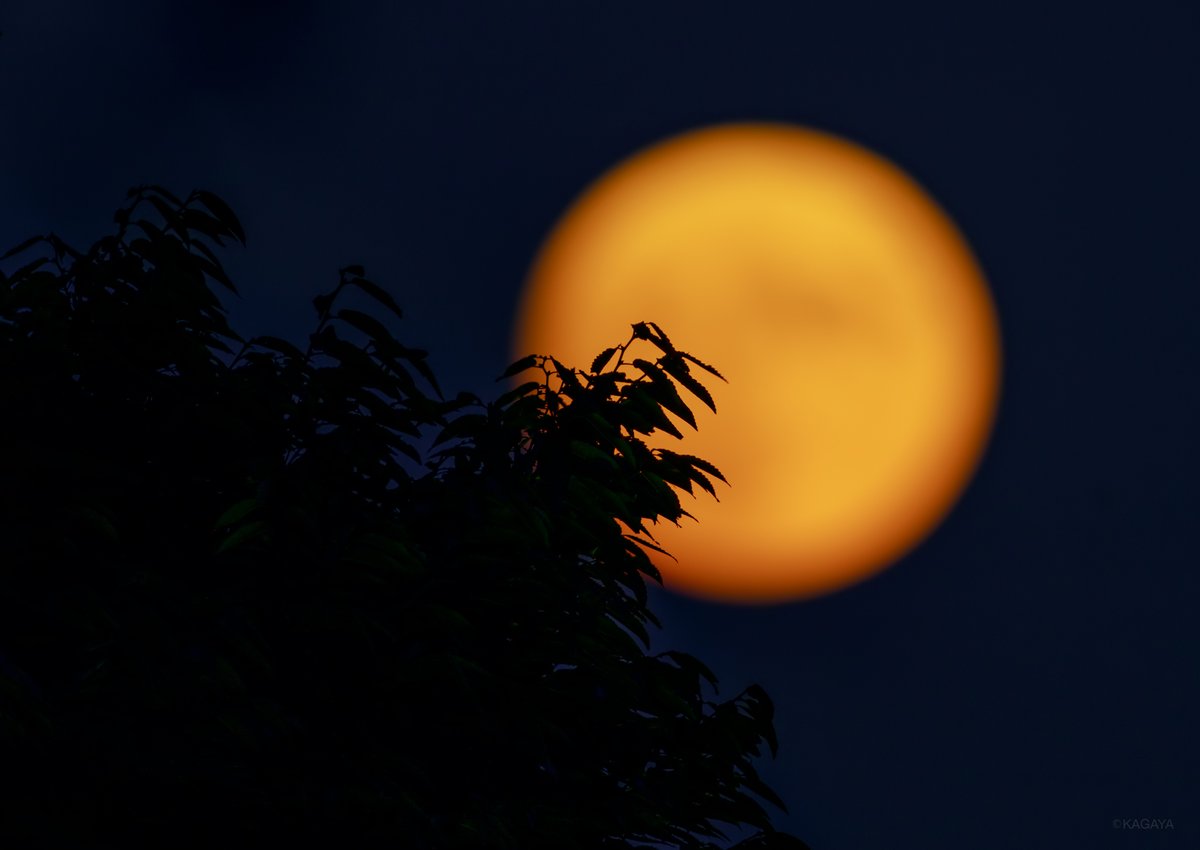 Kagaya 空をご覧ください 東に中秋の名月が昇りました 昇ったばかりの月は赤みがかっています さきほど望遠鏡を使って撮影