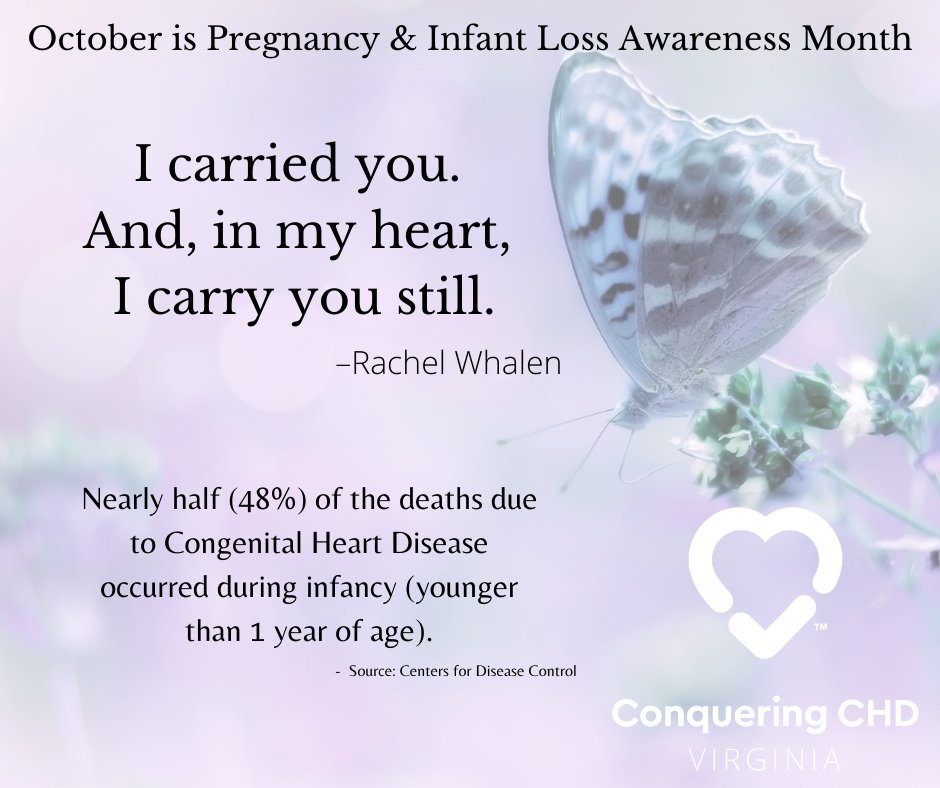 conqueringchdva's tweet photo. This month we remember the tiny hearts gone too soon. They are loved every moment of our lifetimes and we carry their light in our hearts. #RememberingourCHDWarriors https://t.co/7yAXfyjWxj