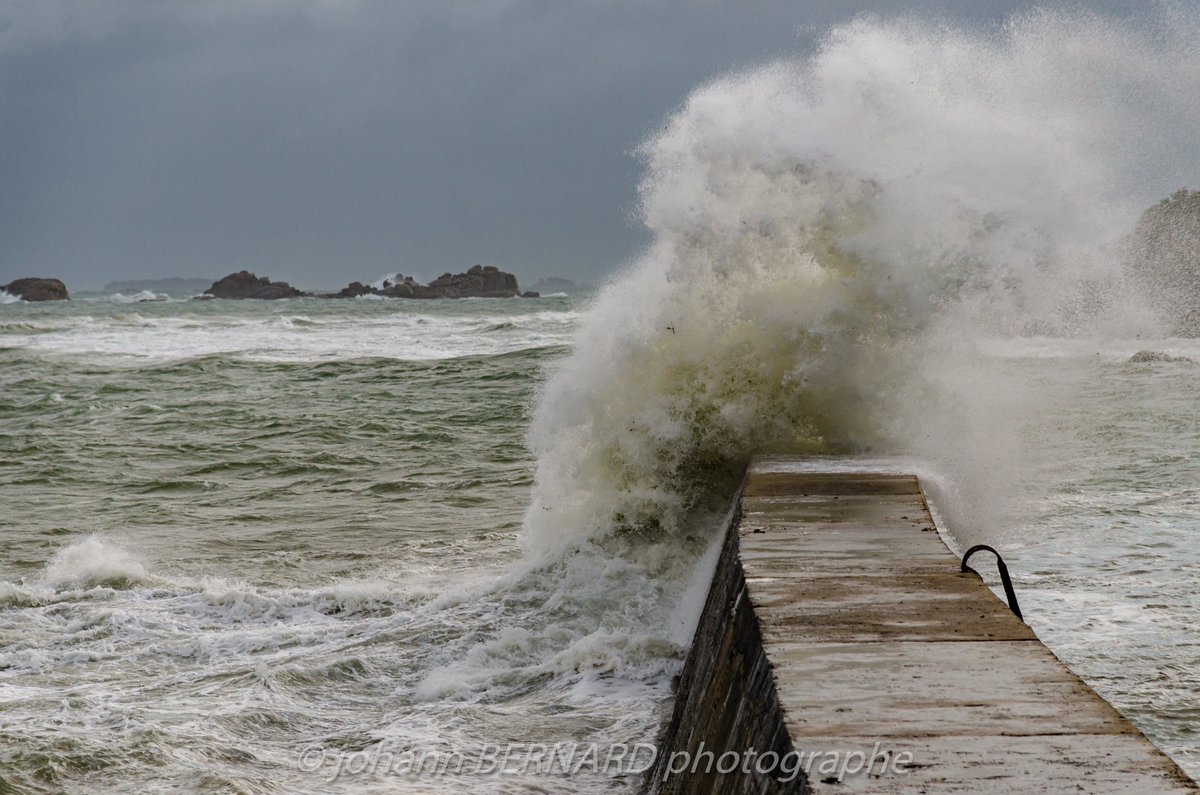 Johann Bernard photo tweet media