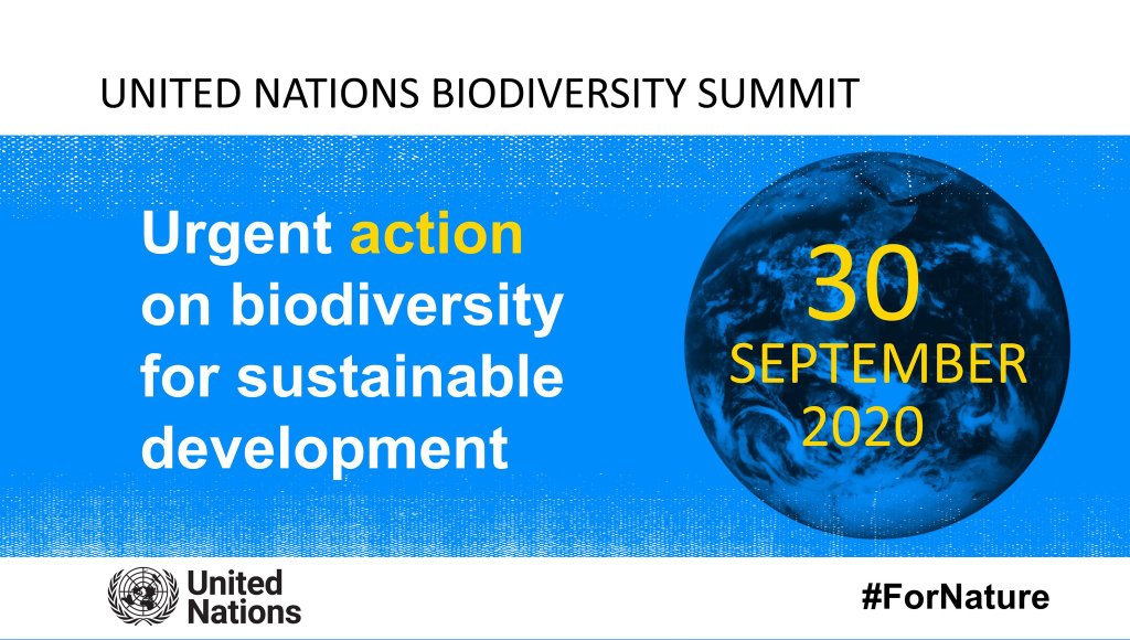 3/transfer to developing countries is of uttermost importance without these interventions, the failure of Aichi biodiversity targets will continue to haunt us." - HE President E. D Mnangagwa on his adress on the Biodiversity Summit   #DearWorldLeaders   #Youth4Biodiversity   #Youth4Nat
