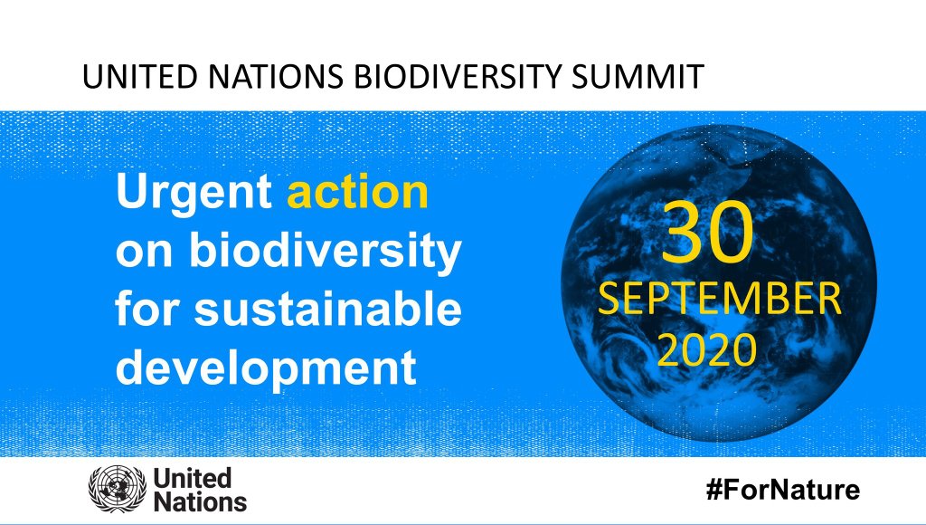 3/transfer to developing countries is of uttermost importance without these interventions, the failure of Aichi biodiversity targets will continue to haunt us." - HE President E. D Mnangagwa on his adress on the Biodiversity Summit  #DearWorldLeaders  #Youth4Biodiversity  #Youth4Nat