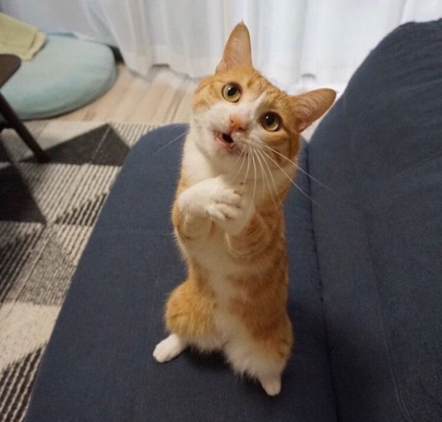 Nolur açılsın okullar nolur nolur...