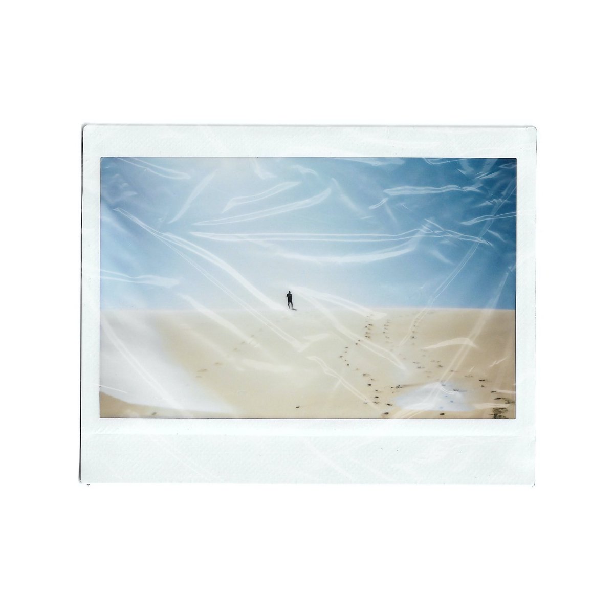 DeanShoots's tweet photo. Some of my favourite polaroids I’ve taken on this camera over the past couple of years. #film #polaroid #polaroidcamera #filmphotography https://t.co/2TN1AntDsR