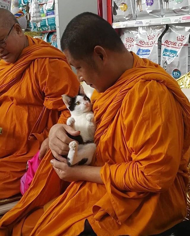 พระแจวางโยมสาลี่ลงก่อนได้มั้ย?