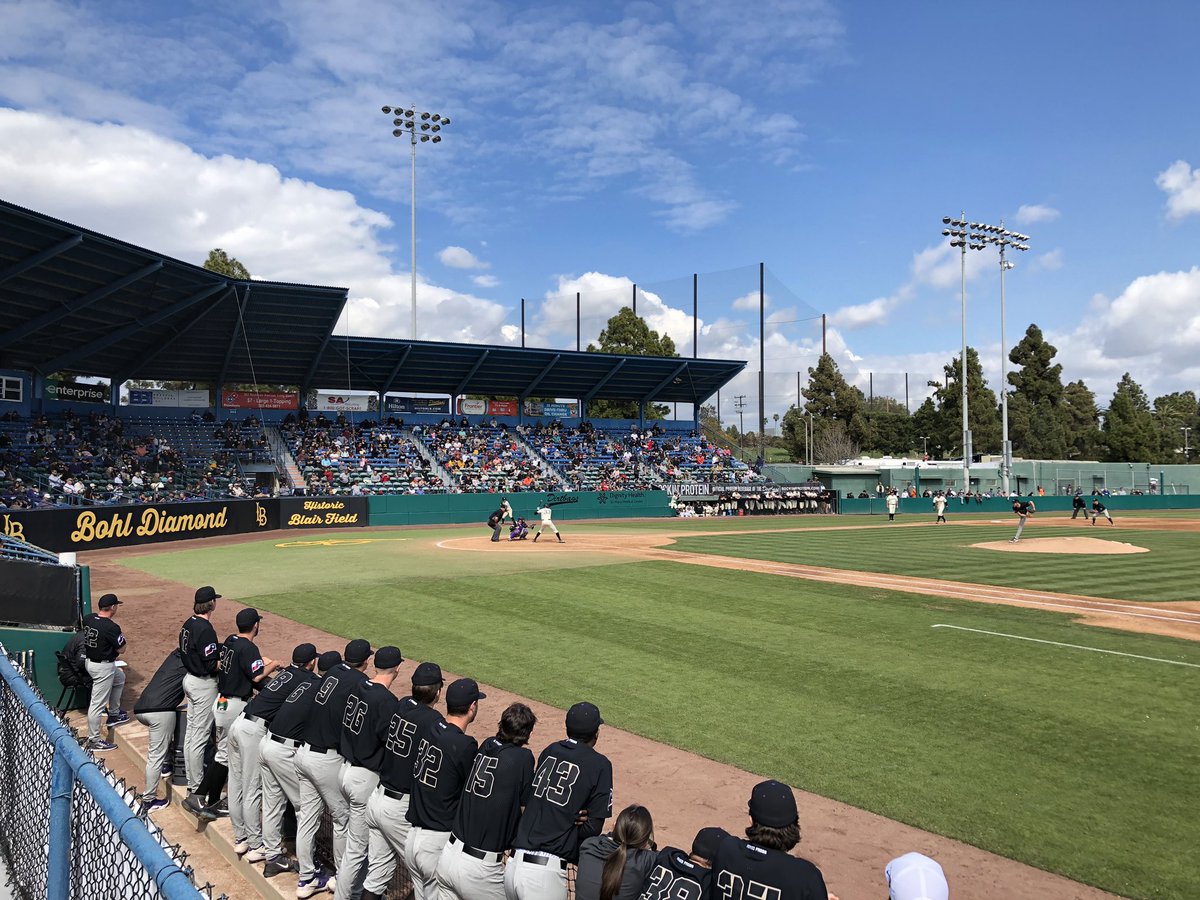 Austin Castillo tweet media