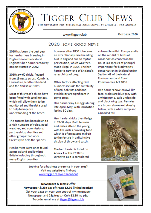 Tigger Club News:
By Animals - For Animals
October's Newspaper has now been published
tigger.club/index.php/news…
If you enjoy reading it please share and tell your pals.
#TiggerClubNews #newspaper #publish #news #Interviews #announcements #SupportSmallBusiness