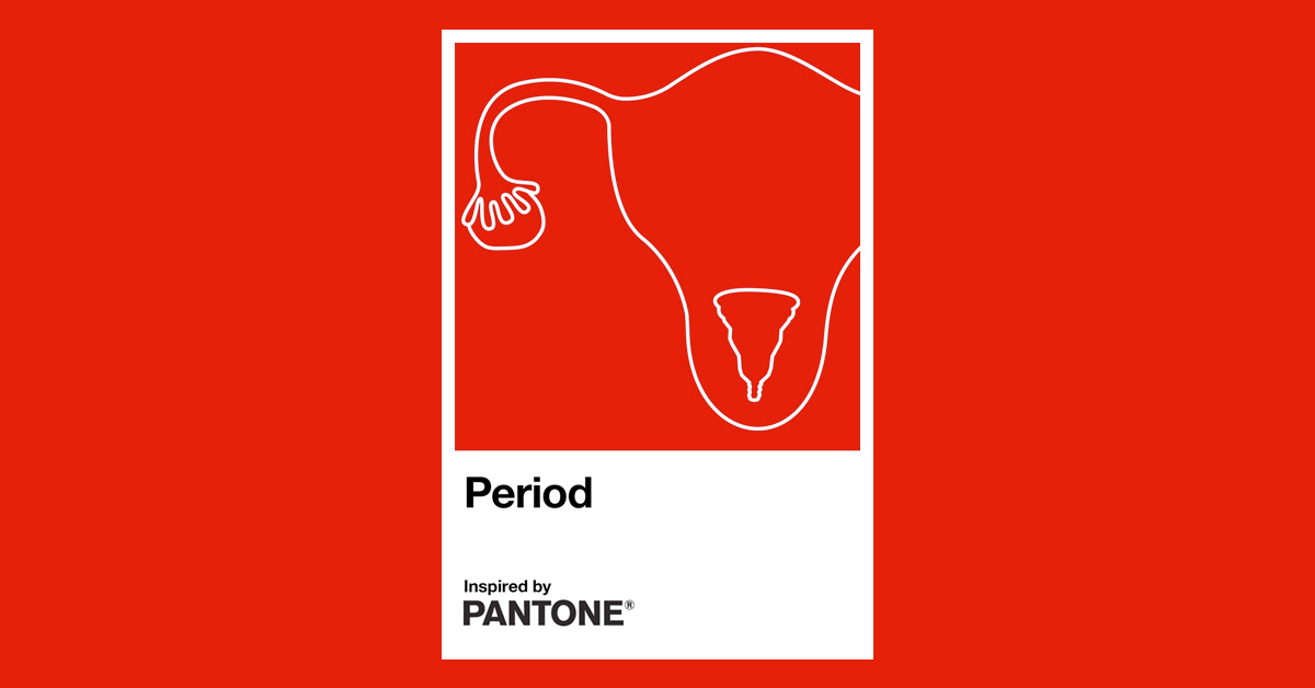 megan cook tweet media