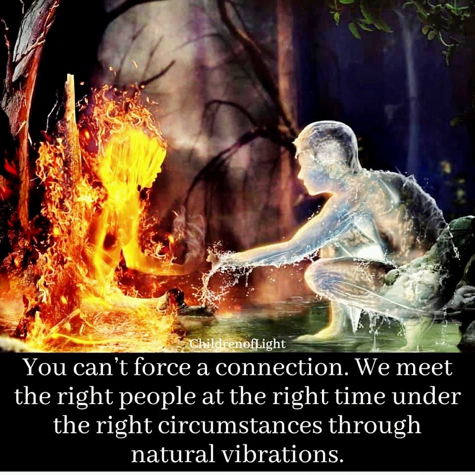 MariaPlesa tweet media