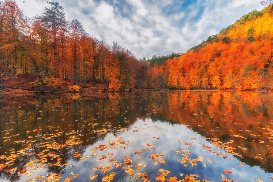 rsinekoglu's tweet photo. "Doğaya daha yakından bak, o zaman her şeyi daha iyi anlayacaksın"
#Einstein
#Doğa, #Su ve #İnsan için #Biyoçeşitlilik #Biodiversity
#ForNature #ForWater #ForHuman https://t.co/0cQNiBY7K1