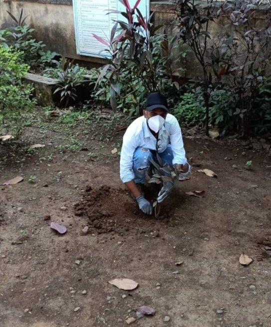 GramSomnath's tweet image. Tree plantation 🌱 and Cleanliness drive in Somnath Gram Panchayat
#swachchhataHiSeva
@swachhbharat 
@mopr_goi 
@prafulkpatel 
@CollectorDaman 
@DmnCeodp