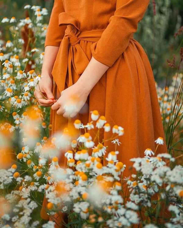 dlaldla48671924's tweet image. اللهم اني استخيرك ف اموري كلها ، فقرب مني كل خير يا الله