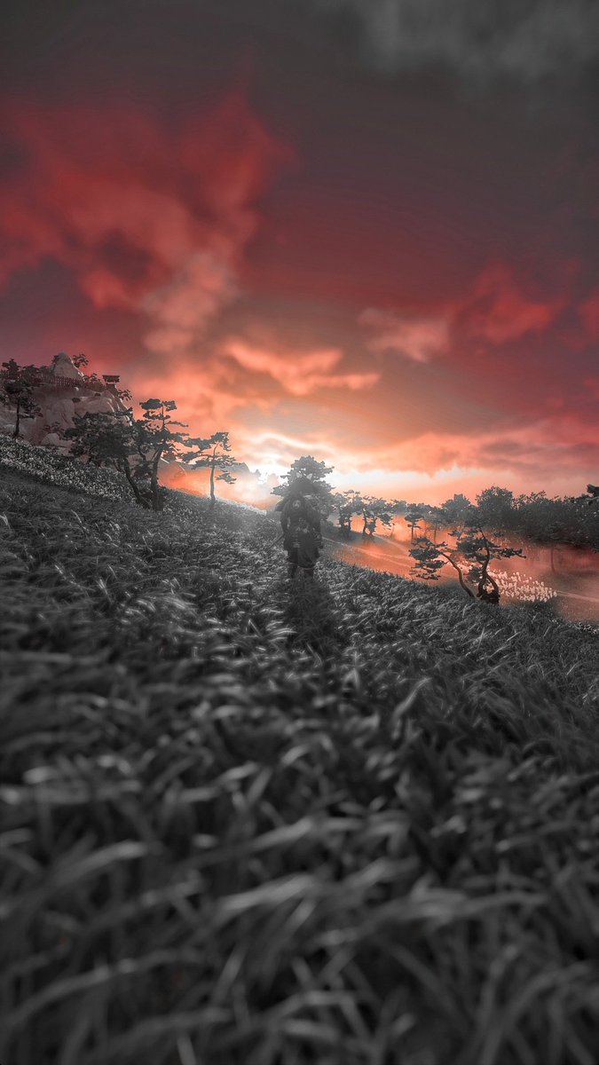 YouSpoonyBardd's tweet photo. Went back to #GhostOfTsushima last night, still love this game congrats @SuckerPunchProd on the #GoldenJoysticks nominations they are well deserved!!
#PS4share #virtualphotography #Photomode #gamephotography #societyofvirtualphotographers #VGPUnite @playstation https://t.co/oA2LKId4nh