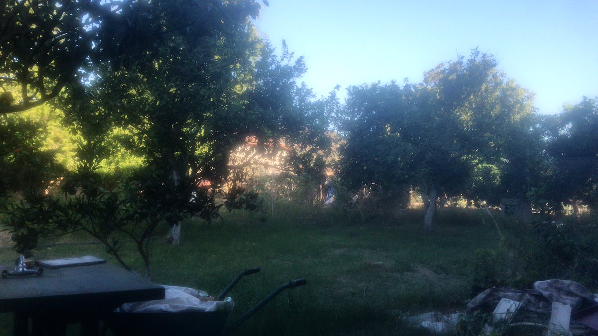 Valiedhiel🦄 tweet media