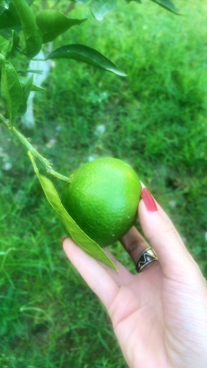 Valiedhiel🦄 tweet media