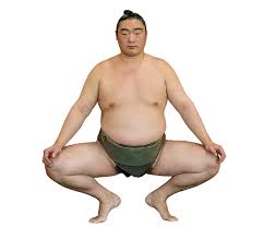 そんきょのtwitterイラスト検索結果