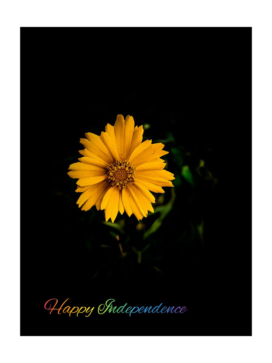 Margiftasia's tweet photo. Sending you all the love...

📱: Tecno Camon 15

#TECNOForNigerians
#camonceo
#October1st
#IndependenceDayNigeria
#independenceday2020

https://t.co/5dD4O6G2Ay https://t.co/zfhdKY3LBD
