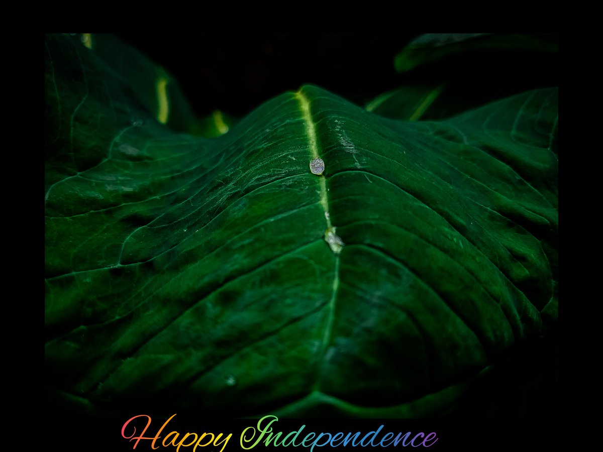 Margiftasia's tweet photo. Sending you all the love...

📱: Tecno Camon 15

#TECNOForNigerians
#camonceo
#October1st
#IndependenceDayNigeria
#independenceday2020

https://t.co/5dD4O6G2Ay https://t.co/zfhdKY3LBD