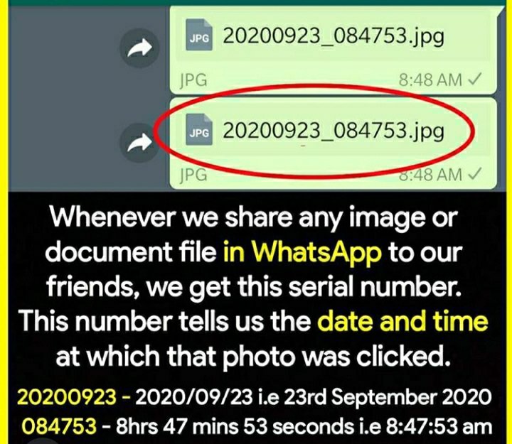 thencyclopedian's tweet photo. #OnThisDay 
#TheEncyclopedian 
#ThursdayThoughts #ThursdayMotivation #Facts #Factsnotfiction #knowledge #generalknowledge https://t.co/3nBnqirmek