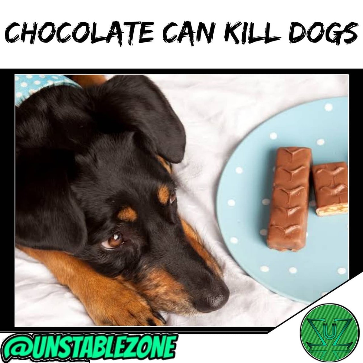 unstablezone's tweet photo. Now, never let your dog ask for a chocolate cake ...
.
.
.
.
.
#chocolate #cankill #dogs #poison #metabolism #chemical #phisics #chemistry #biology #sciencefiction #memes #facts #ytchannel #science #sciencefacts #sciencememes #scifi #ScienceNeverEnds #UnstableZone #Thanks ... https://t.co/USh75GdVY8