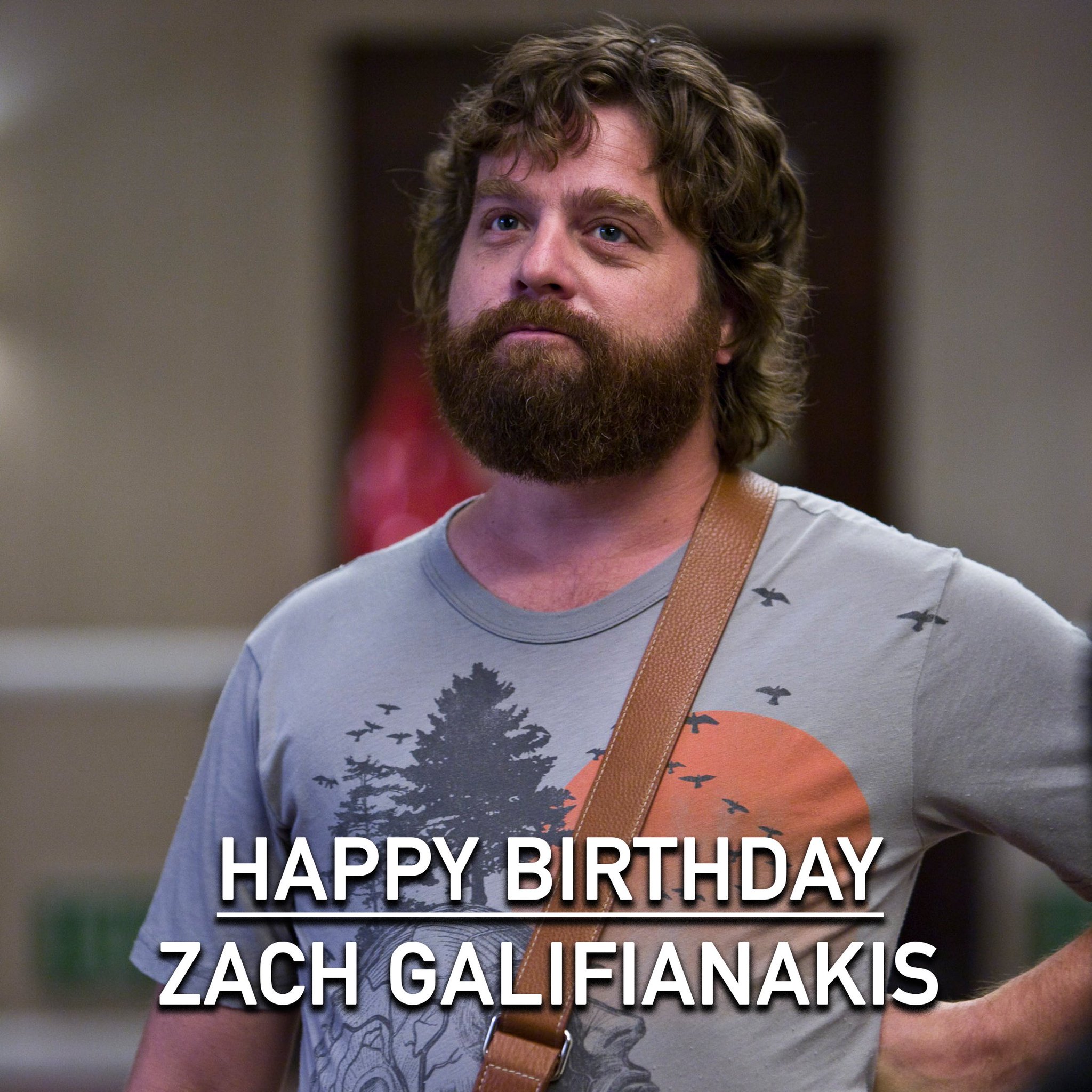 Happy Birthday to Zach Galifianakis, who thinks of himself as a one-man wolf pack! 