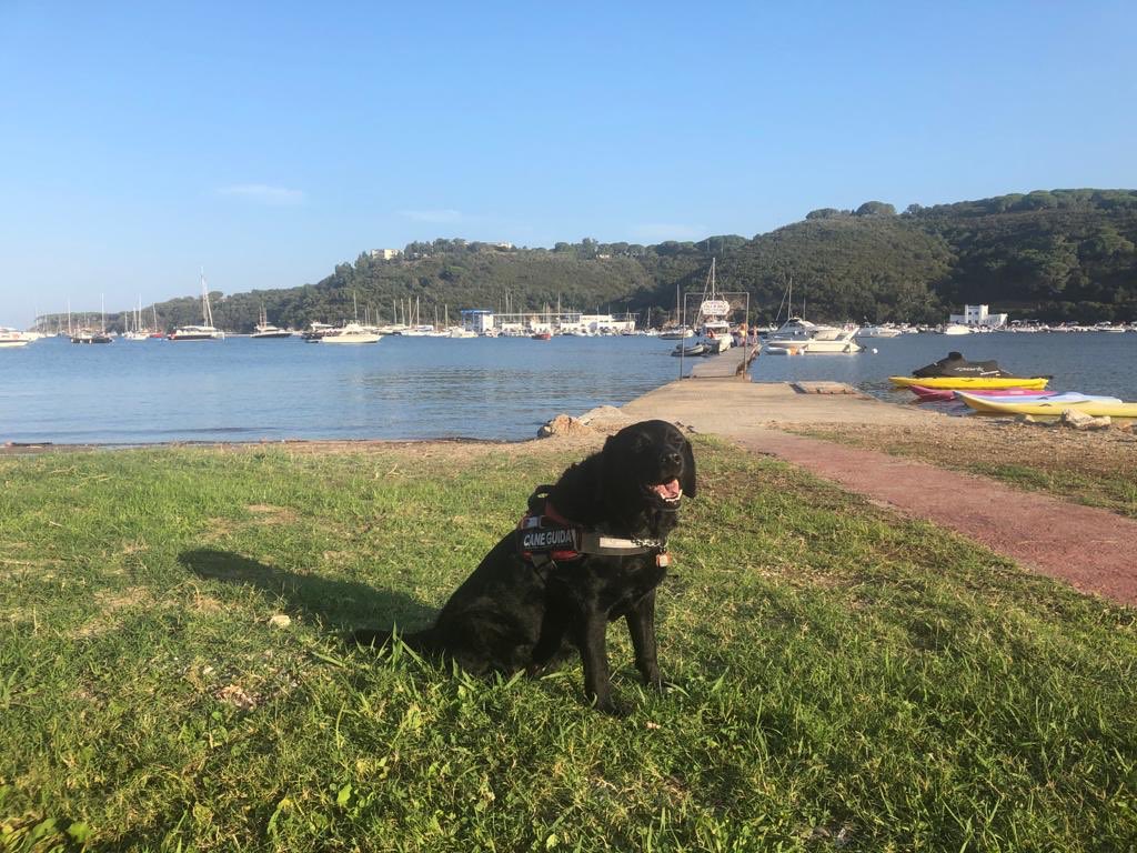 #Ulma on the beach! #Elba #1ottobre #Aniridia #