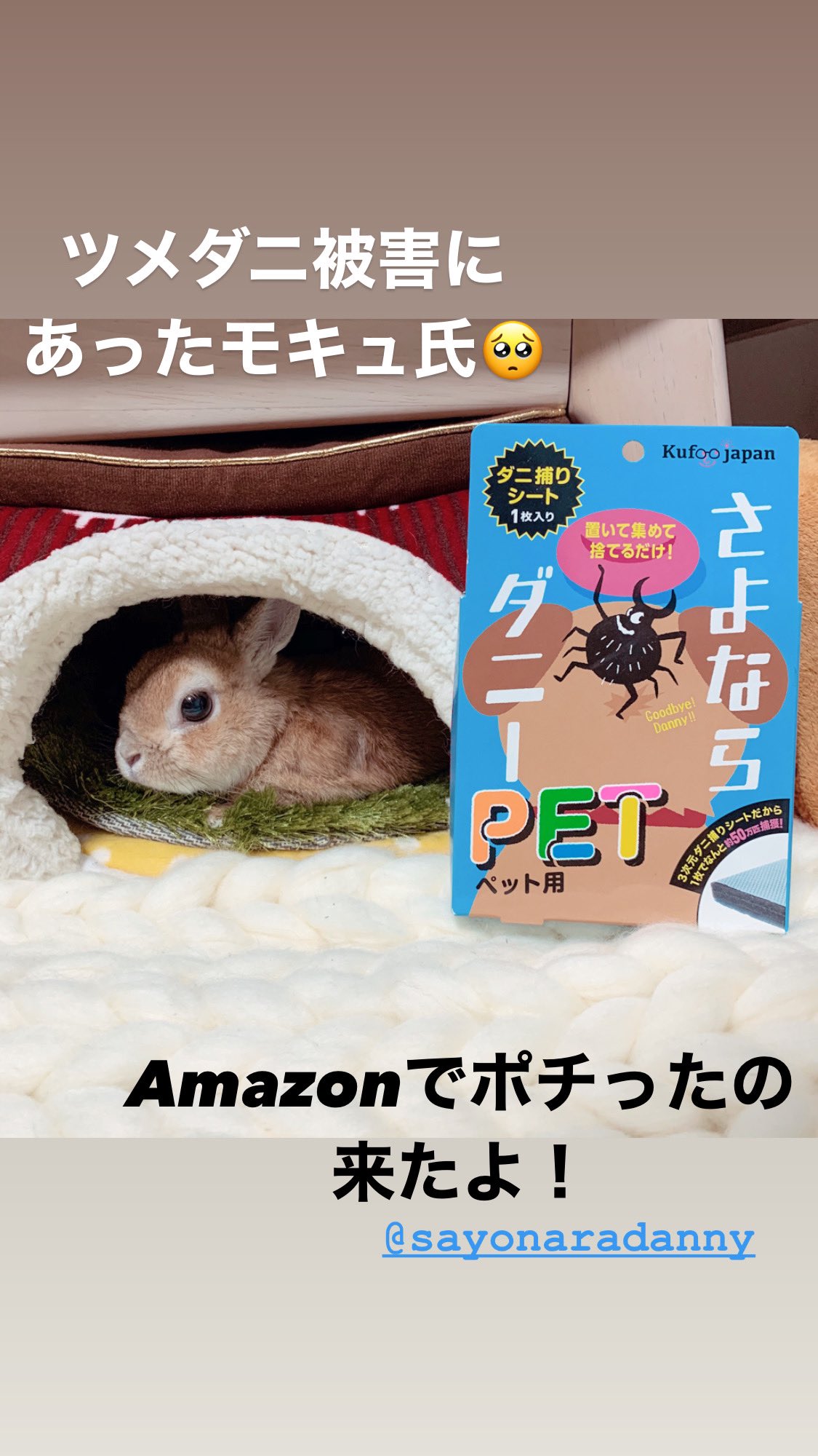 モキュ様のおかん うさぎしんぼる展 先日 ツメダニ被害が発覚した モキュ氏11歳 病院にて 駆虫薬をしてもらいましたが おうちのマット類の洗濯と ダニ取りシートをセットしてみました さよならダニー ダニダニバイバイダニー Sayonara Danny