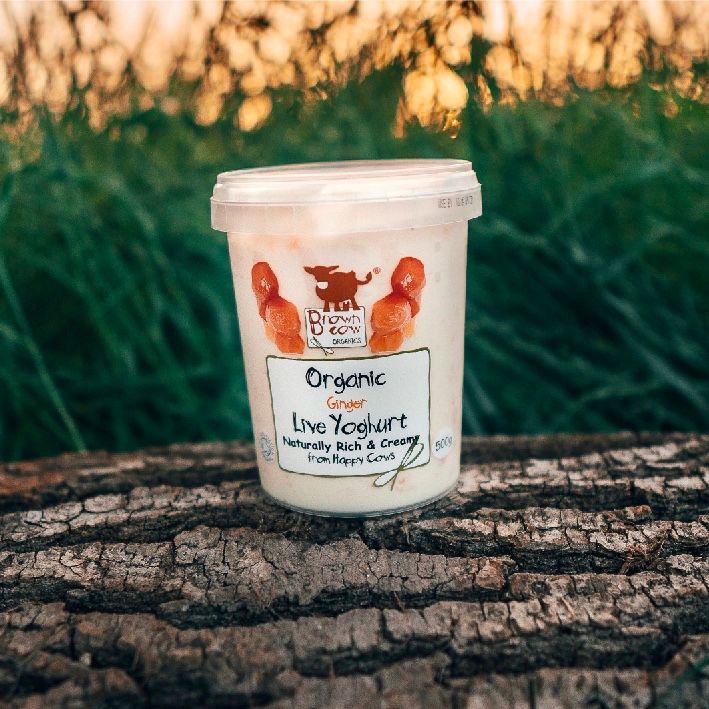Our Ginger Limited Edition live organic yoghurt is our rich and creamy natural yoghurt, lusciously swirled through with organic stem ginger puree, fresh and cool with a little of ginger.  #breakfast