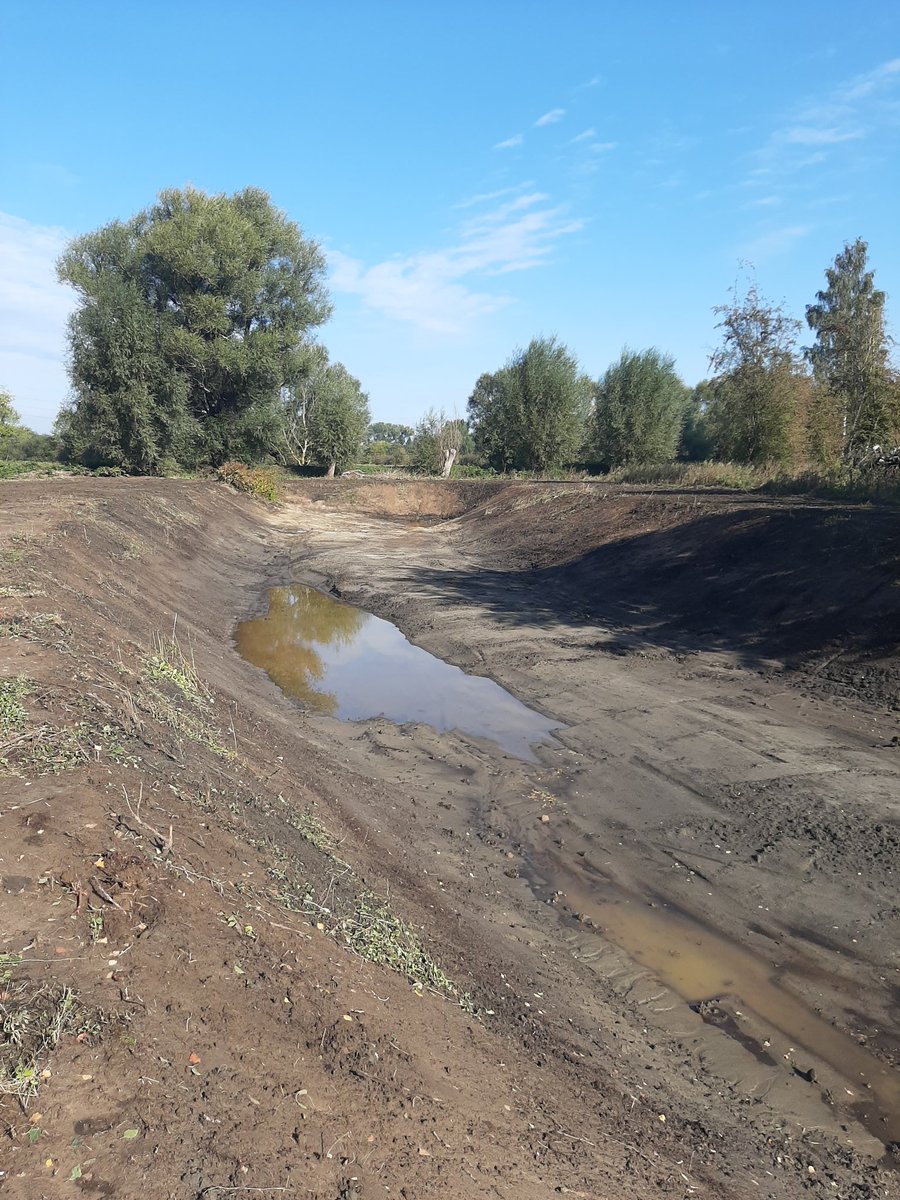 Deze week werd het tweede deel van een oude meander van de Zenne geruimd in de Dorent te Eppegem. Nu wachten we op water en de bijhorende plantengroei.
