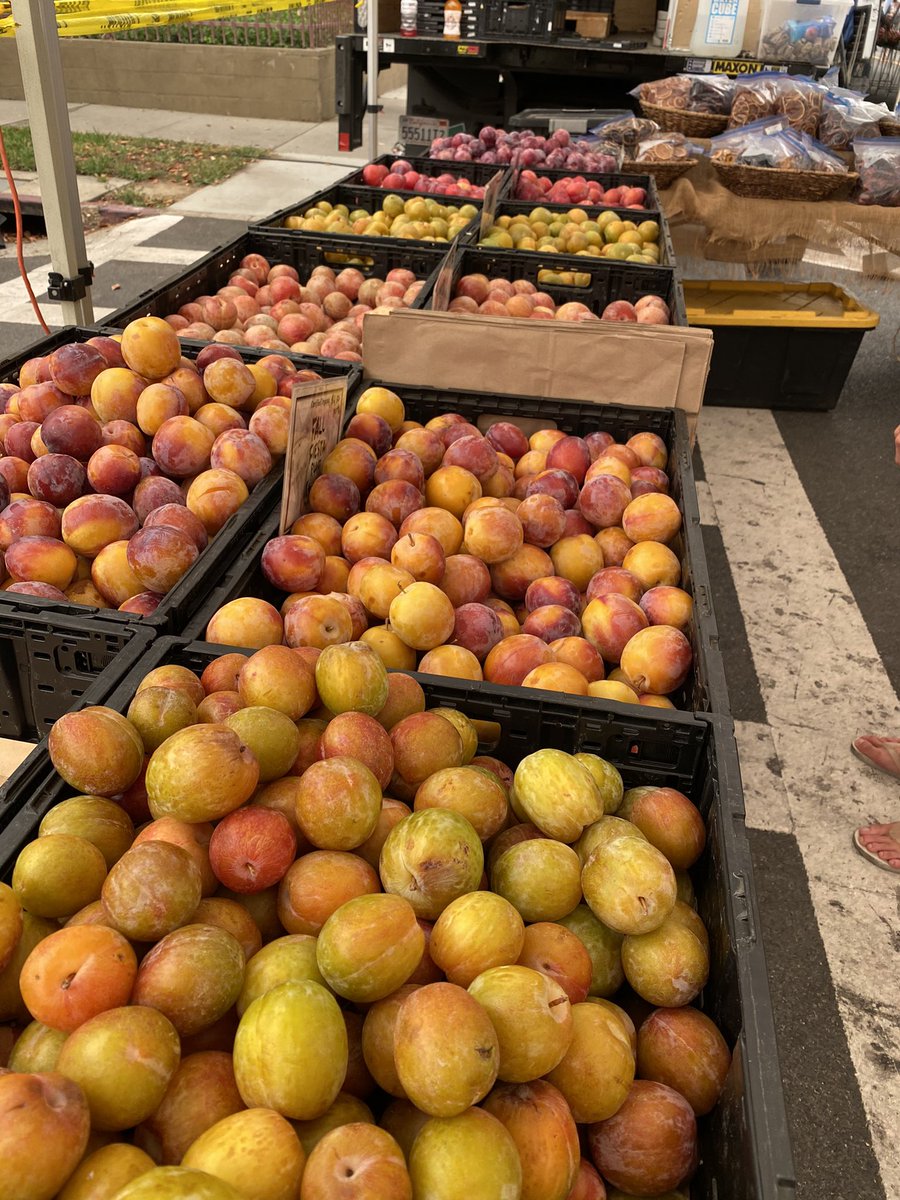 Many varieties of plums and pluots to go through at our stand!  Stop by and pick through some delicious items!  #tehachapi #southpasadena #seasonalitems