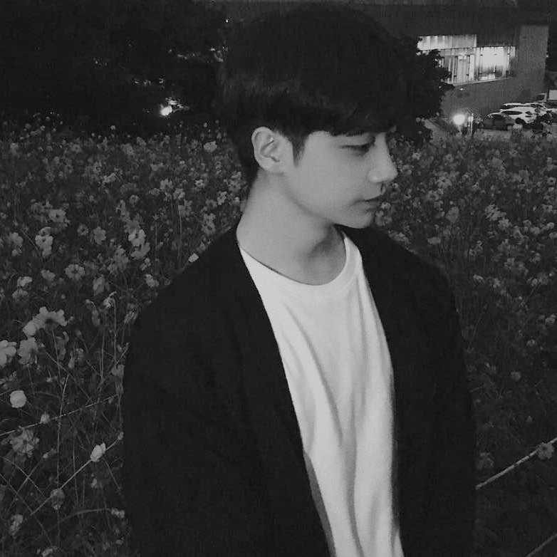 daniel tweet media