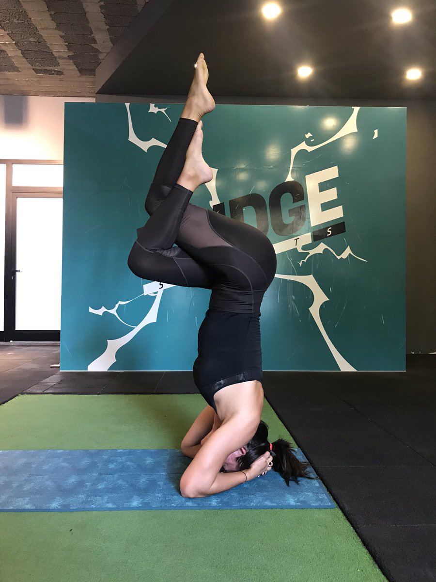 aslimm10's tweet image. Namaste cınıms🥰 #bridgesports