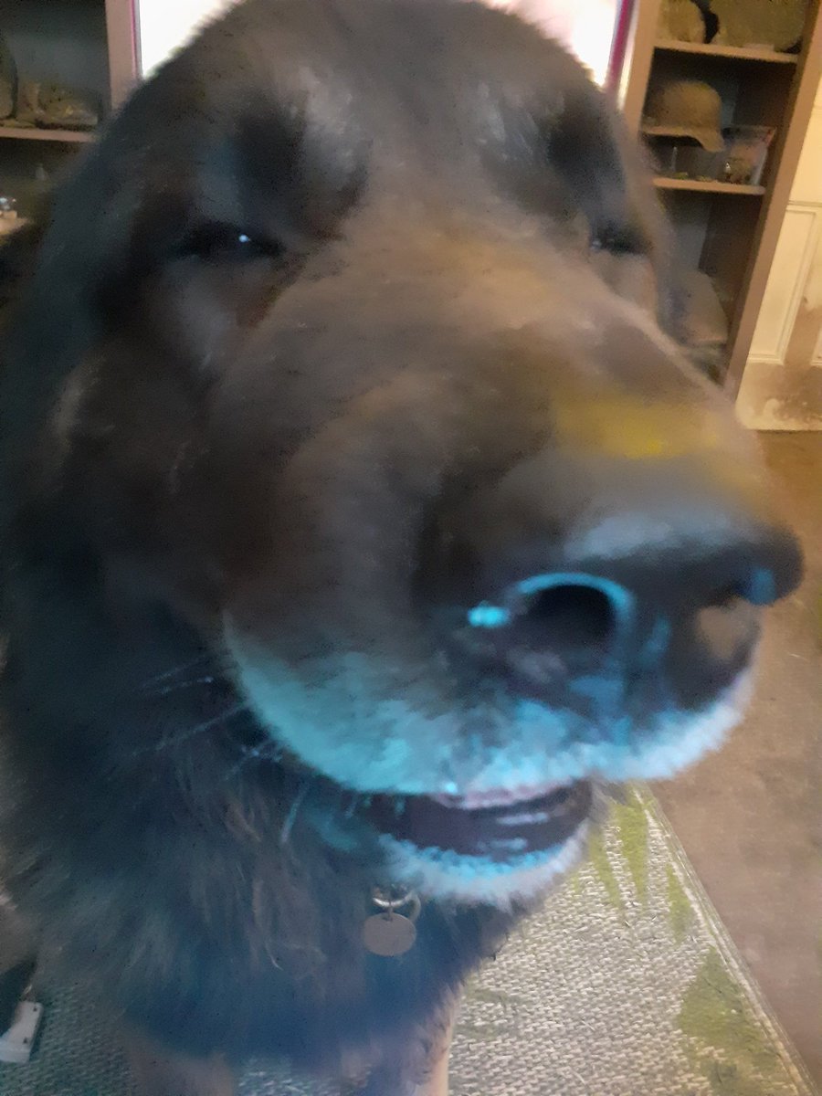 Gnurberella 🕸 tweet media