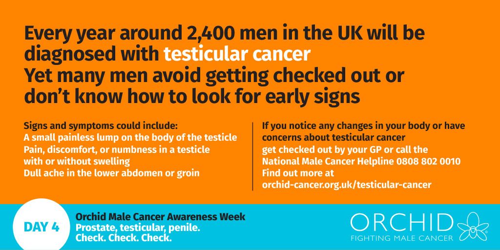 Orchid Male Cancer tweet media