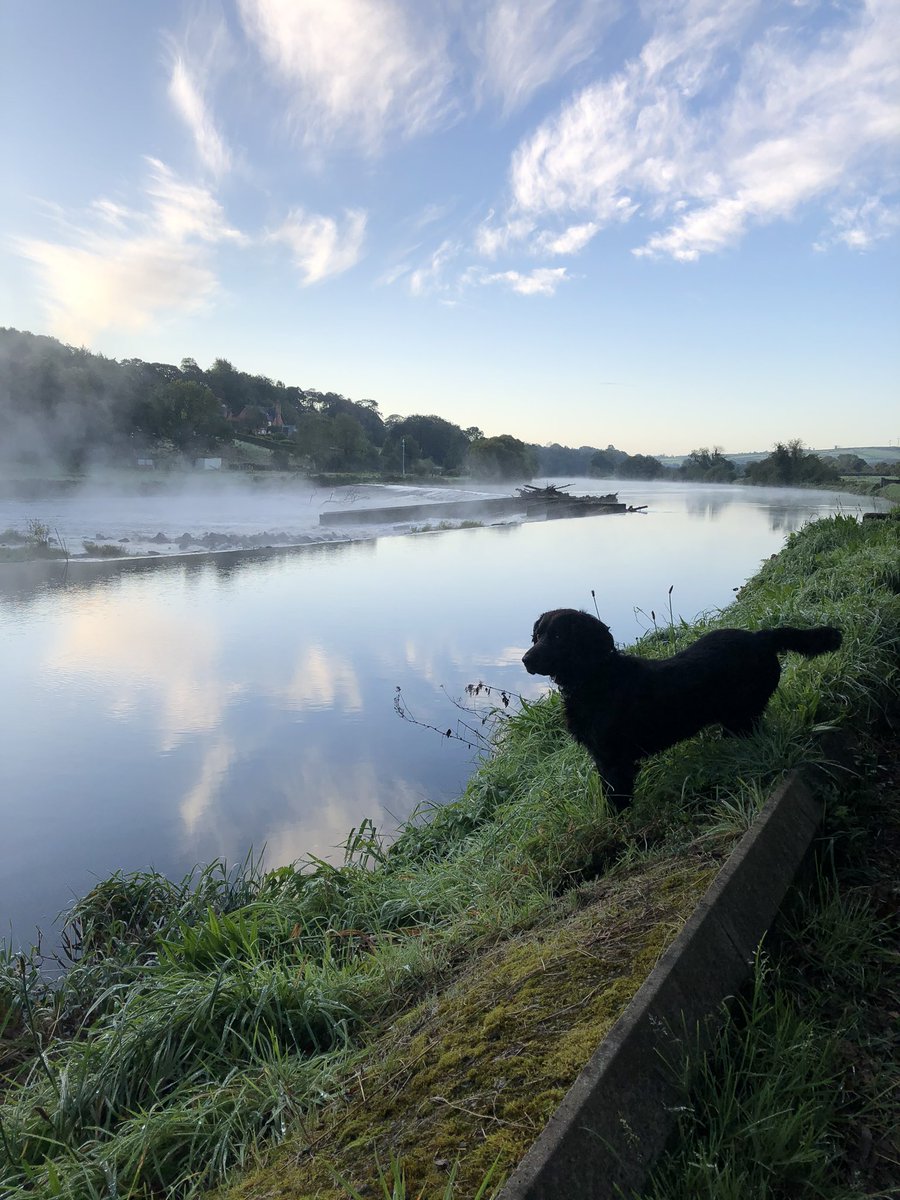 A nippy but beautiful start to a new month. #mournesideriverwalk 1 °C