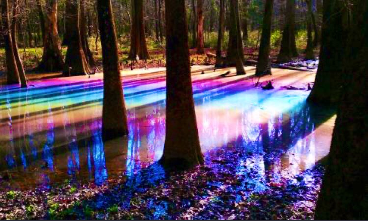 The best time for new beginnings is now🍁🍀✨                                          #beginning #october #time #life #new