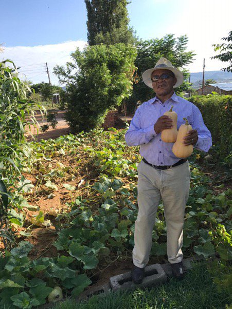 MIT_ORG's tweet photo. #TBT.. looking back at some of the amazing results of the @MDA_2017 Food Security Programme. #CreatingSustainability #MDAFSP #FoodSecurity #MITSiyaphambili https://t.co/uhoDn57DI1