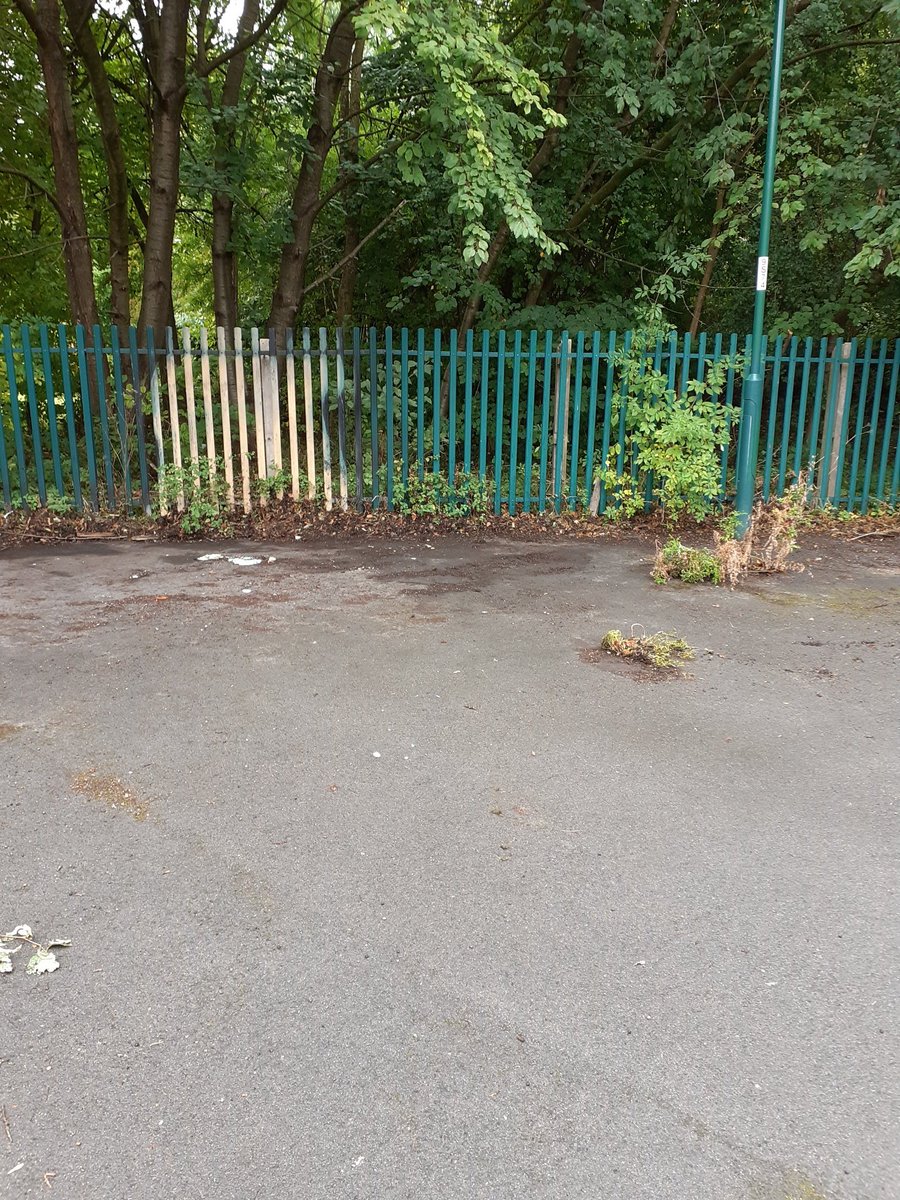 Street scene continuing the removal of fly tips this time at shelford rise sneinton