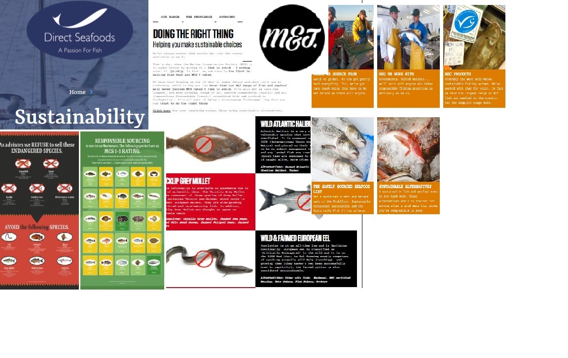 thinkfishtomoz's tweet photo. Increasingly impressed with the responsible sourcing work of leading seafood wholesalers @Direct_Seafoods  and @mjseafood with great commitments to more @MSCecolabel &amp; 1-3 rated @GoodFishGuideUK products, plus no reds! 🐟🐡🐳🦈 https://t.co/K4ZZqsBpKq &amp; https://t.co/1VXRw3B51I https://t.co/RyD70RhoyF