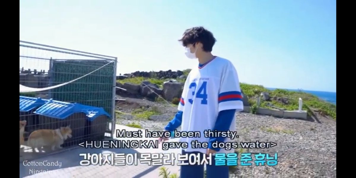 Lastly, he& #39;s SUCH AN ANGEL. there are SO many moments of where his actions are angel like, that even editors from every show will caption him as “Angel”He& #39;s so pure, innocent, caring, reliable, considerate and kind. This is one of my fav angel moments from him