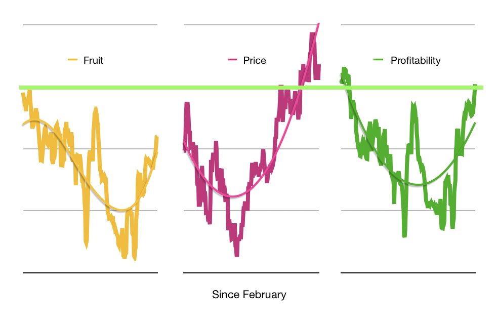 As of today monthly production is back to 100,000 tons &amp; with the palm oil price at RM2,900 that brings the profitability estimate back to + for the first time since February $bwpt #saham #palmoil