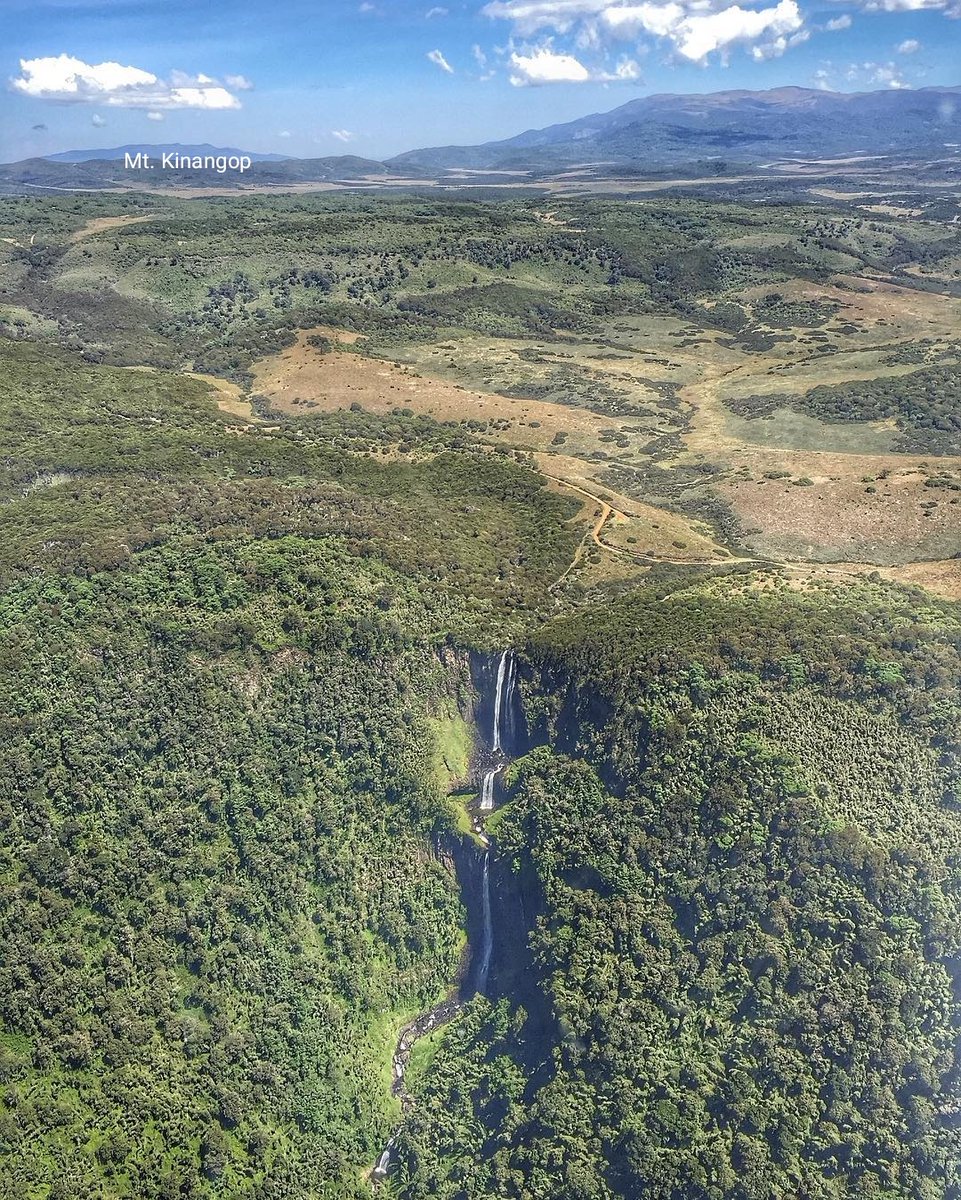 The deep, V-shaped valleys act like funnels that collect the rain which falls on the mountain.Gura river valley plunges suddenly from the mountain top creating some of the biggest water falls in Kenya like Karuru falls (pictured) and Gura falls.  Paolo Parrazi.