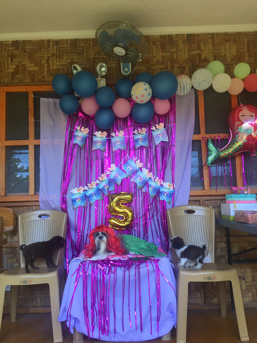 PapiGerger's tweet image. Happy birthday betch 😘 The little mermaid na Ariel 7.50