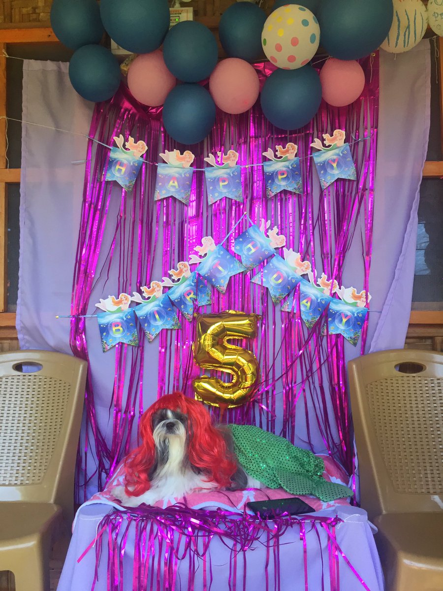 PapiGerger's tweet image. Happy birthday betch 😘 The little mermaid na Ariel 7.50