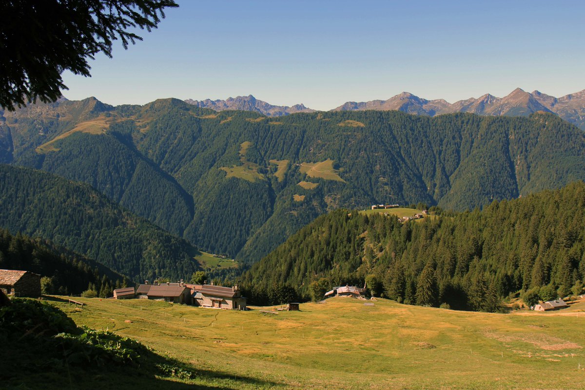 🏞️ Non perdetevi domani 2 ottobre alle 12,00 la tavola rotonda online sulle aree interne di montagna: il racconto del #ProgettoAlpe e la firma di un protocollo di intesa con <a href="/MontagnaUncem/">UNCEM NAZIONALE</a>  
➡️ Per maggiori informazioni, leggi la news: bit.ly/3n0yzFY

#sostenibilità