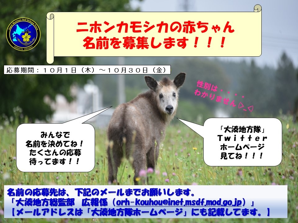 桜華 Sakurabana Twitter