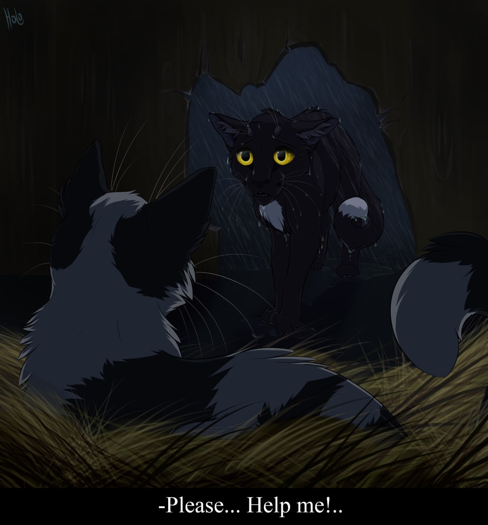 Wa Rav Cat Raven Warrior Cats