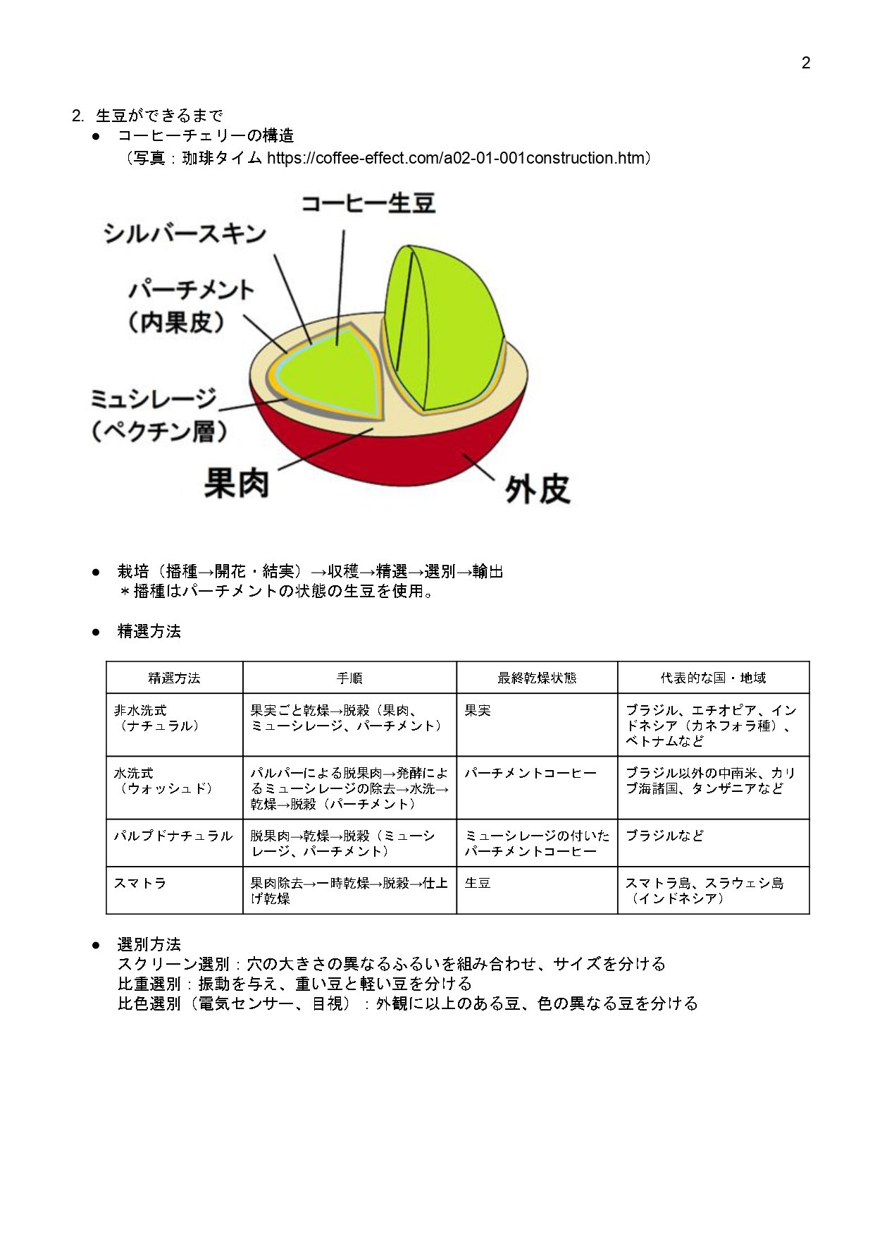 Yanz コーヒーの知識 2 生豆ができるまで コーヒーチェリー構造 生豆 シルバースキン パーチメント ミューシレージ 粘液層 果肉 外皮 栽培 播種開花結実 収穫 精選 選別 スクリーン 比重 比色 精選方法 非水洗 ナチュラル 水洗