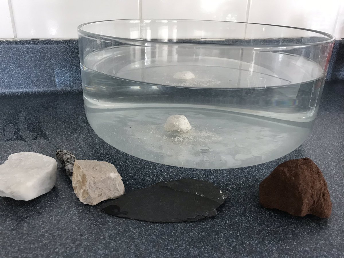 JESS Primary Year 3 tweet media