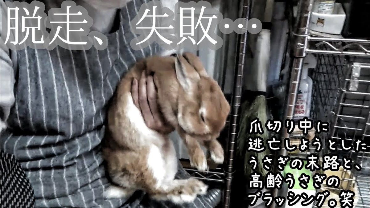 Raper X Rudy S Room Raperx4 Twitter